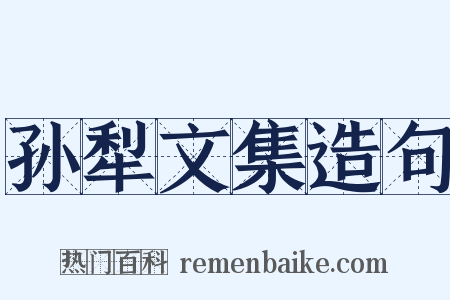 孙犁文集造句是什么意思的图片
